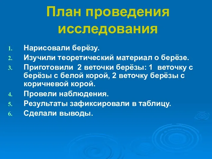 План проведения исследования Нарисовали берёзу. Изучили теоретический материал о берёзе. Приготовили