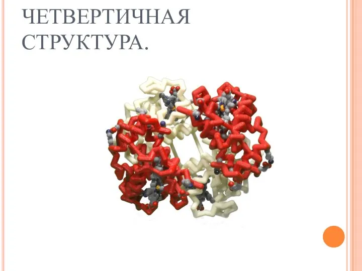 ЧЕТВЕРТИЧНАЯ СТРУКТУРА.