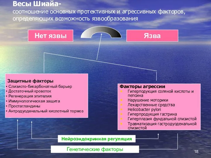 Весы Шиайа- соотношение основных протективных и агрессивных факторов, определяющих возможность язвообразования