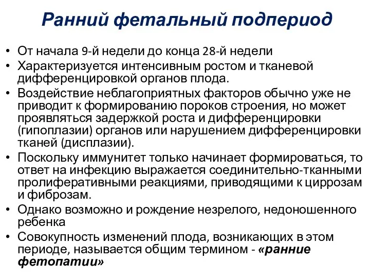 Ранний фетальный подпериод От начала 9-й недели до конца 28-й неде­ли