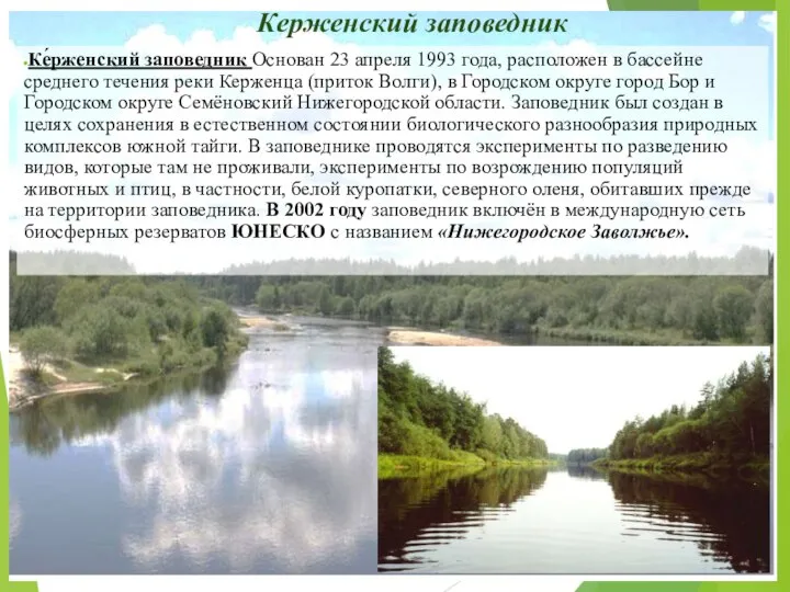 Керженский заповедник Ке́рженский заповедник Основан 23 апреля 1993 года, расположен в