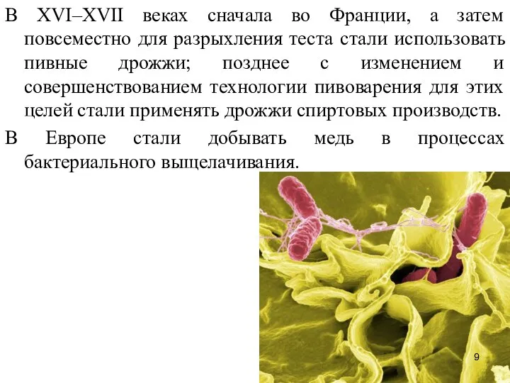 В XVI–XVII веках сначала во Франции, а затем повсеместно для разрыхления