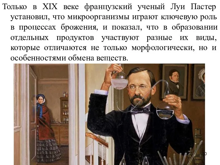 Только в XIX веке французский ученый Луи Пастер установил, что микроорганизмы