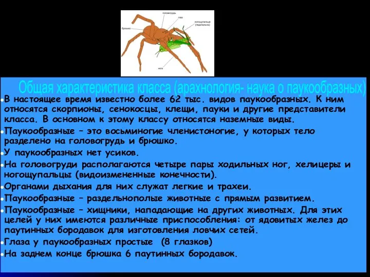 В настоящее время известно более 62 тыс. видов паукообразных. К ним