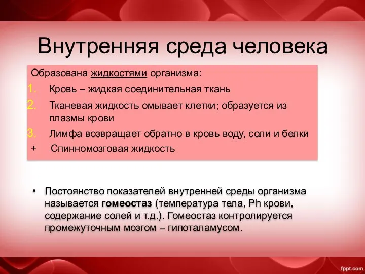 Внутренняя среда человека Образована жидкостями организма: Кровь – жидкая соединительная ткань