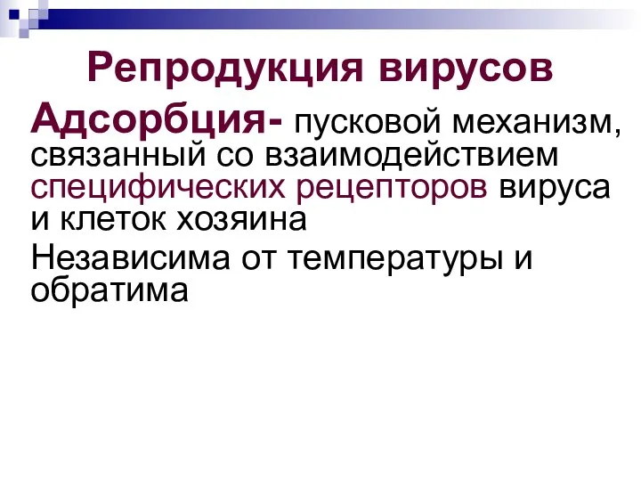 Репродукция вирусов Адсорбция- пусковой механизм, связанный со взаимодействием специфических рецепторов вируса