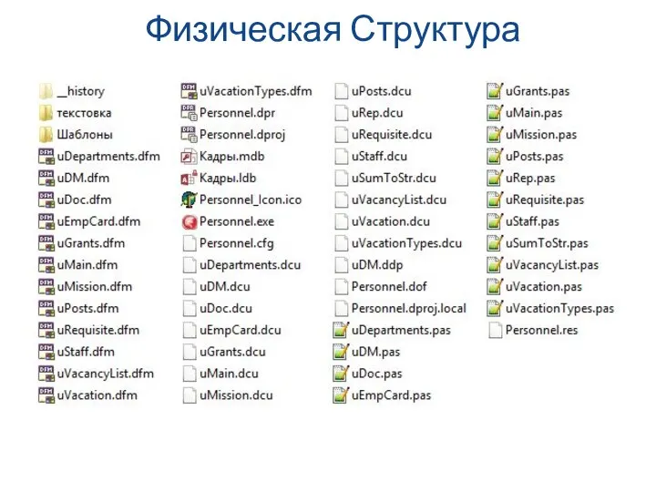 Физическая Структура