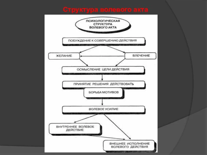 Структура волевого акта