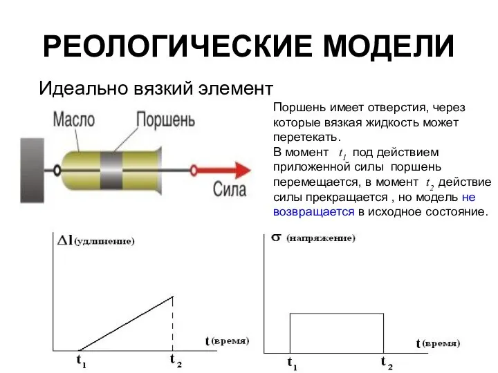 РЕОЛОГИЧЕСКИЕ МОДЕЛИ Идеально вязкий элемент Поршень имеет отверстия, через которые вязкая