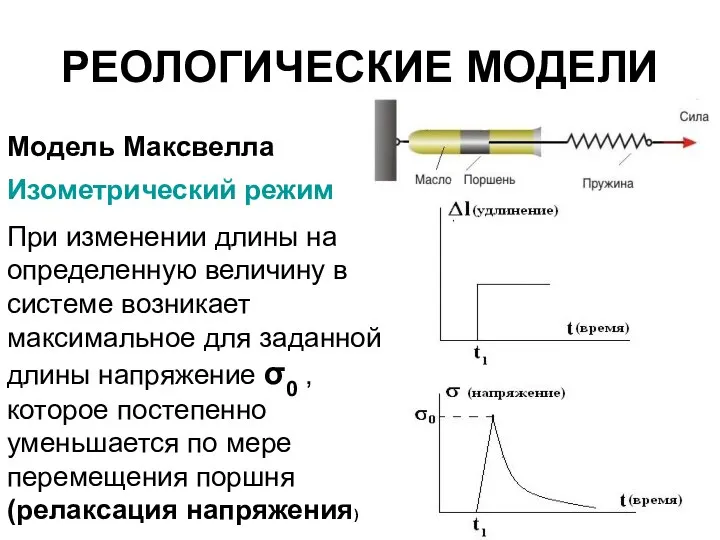 РЕОЛОГИЧЕСКИЕ МОДЕЛИ Модель Максвелла Изометрический режим При изменении длины на определенную