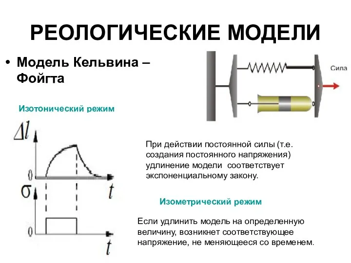 РЕОЛОГИЧЕСКИЕ МОДЕЛИ Модель Кельвина – Фойгта Изотонический режим Изометрический режим При