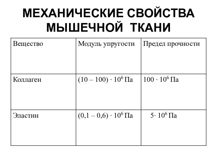 МЕХАНИЧЕСКИЕ СВОЙСТВА МЫШЕЧНОЙ ТКАНИ