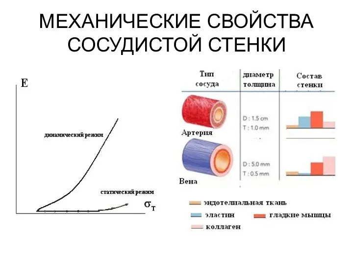 МЕХАНИЧЕСКИЕ СВОЙСТВА СОСУДИСТОЙ СТЕНКИ