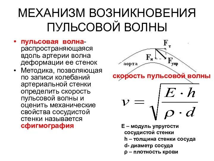 МЕХАНИЗМ ВОЗНИКНОВЕНИЯ ПУЛЬСОВОЙ ВОЛНЫ пульсовая волна-распространяющаяся вдоль артерии волна деформации ее