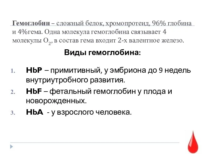 Гемоглобин – сложный белок, хромопротеид, 96% глобина и 4%гема. Одна молекула