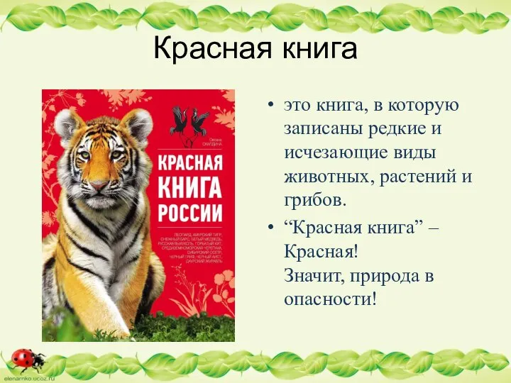 Красная книга это книга, в которую записаны редкие и исчезающие виды