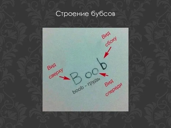 Строение бубсов