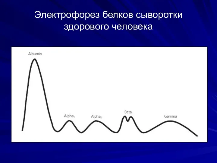 Электрофорез белков сыворотки здорового человека