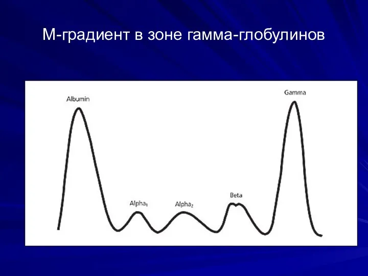 М-градиент в зоне гамма-глобулинов