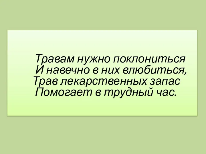 Травам нужно поклониться И навечно в них влюбиться, Трав лекарственных запас Помогает в трудный час.