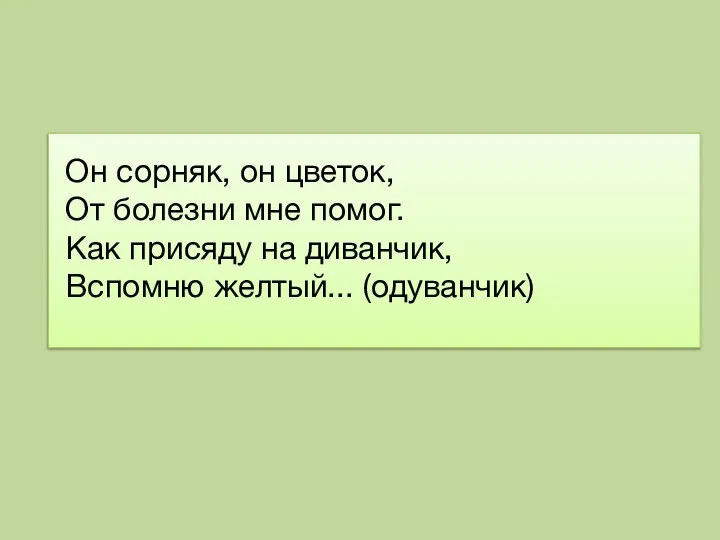 Он сорняк, он цветок, От болезни мне помог. Как присяду на диванчик, Вспомню желтый... (одуванчик)