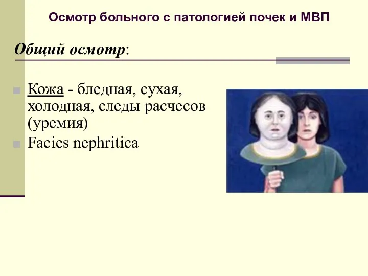 Осмотр больного с патологией почек и МВП Общий осмотр: Кожа -