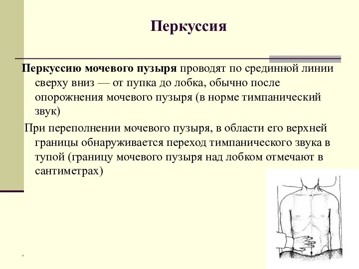 Перкуссия Перкуссию мочевого пузыря проводят по срединной линии сверху вниз —