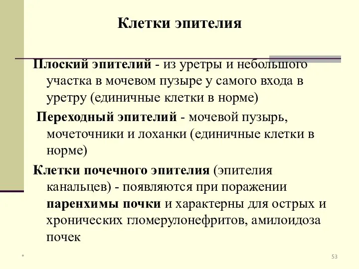 Плоский эпителий - из уретры и небольшого участка в мочевом пузыре