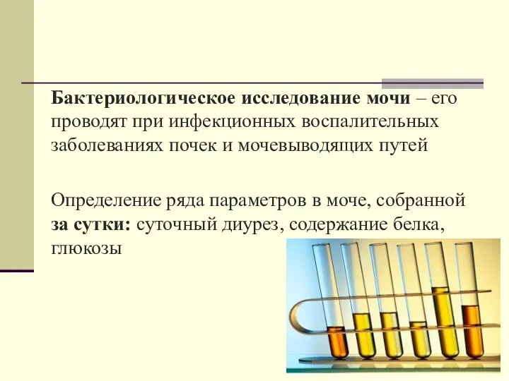 Бактериологическое исследование мочи – его проводят при инфекционных воспалительных заболеваниях почек