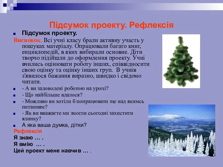 Підсумок проекту. Рефлексія Підсумок проекту. Висновок. Всі учні класу брали активну