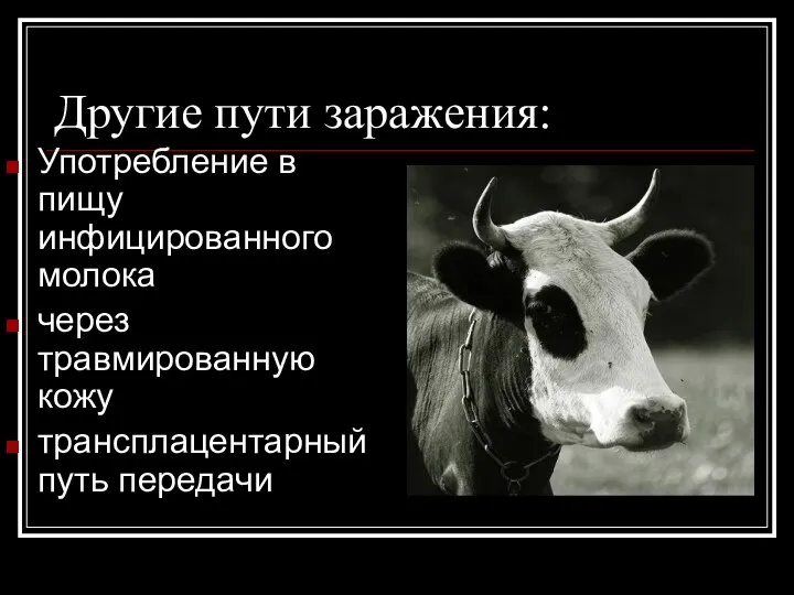 Другие пути заражения: Употребление в пищу инфицированного молока через травмированную кожу трансплацентарный путь передачи