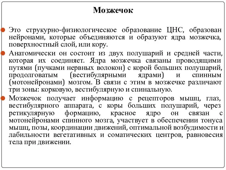 Мозжечок Это струкурно-физиологическое образование ЦНС, образован нейронами, которые объединяются и образуют