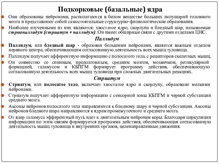 Подкорковые (базальные) ядра Они образованы нейронами, располагаются в белом веществе больших