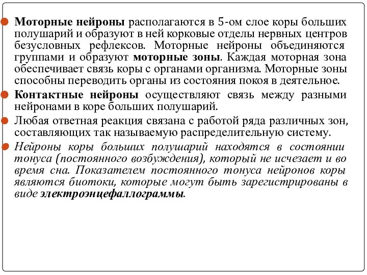 Моторные нейроны располагаются в 5-ом слое коры больших полушарий и образуют