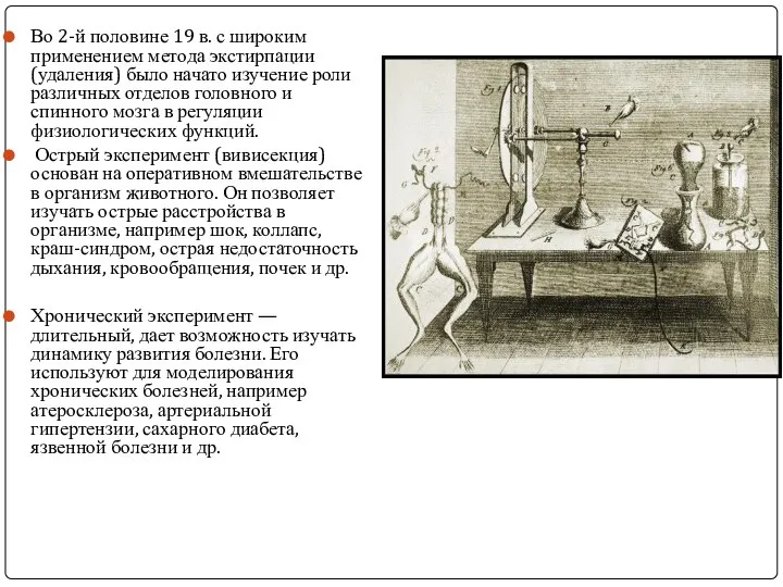 Во 2-й половине 19 в. с широким применением метода экстирпации (удаления)