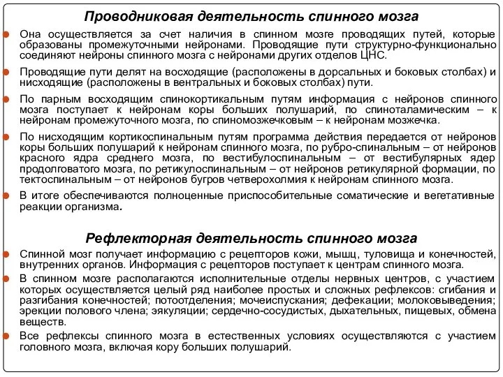 Проводниковая деятельность спинного мозга Она осуществляется за счет наличия в спинном