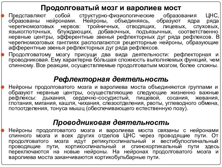 Продолговатый мозг и варолиев мост Представляют собой структурно-физиологические образования ЦНС, образованы