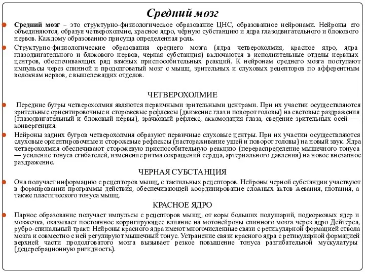 Средний мозг Средний мозг – это структурно-физиологическое образование ЦНС, образованное нейронами.