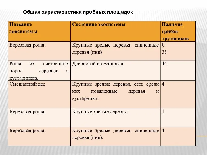 Общая характеристика пробных площадок