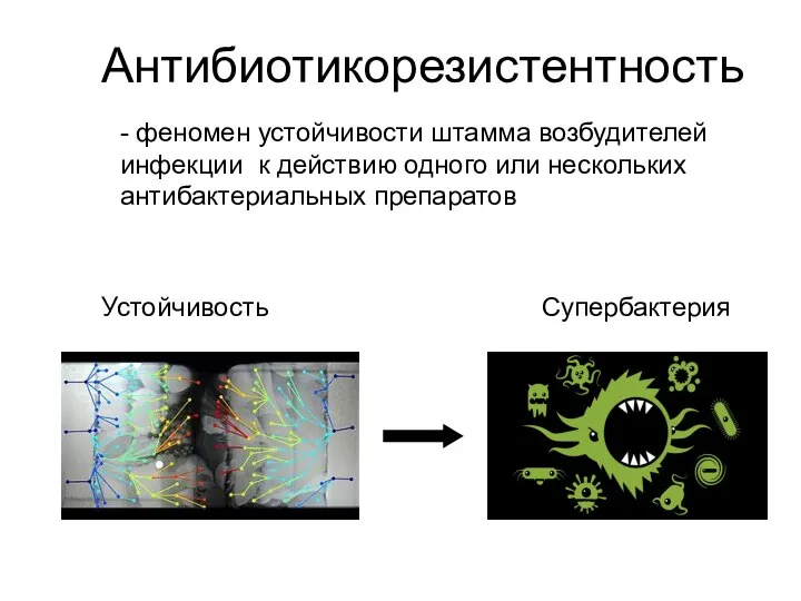 Антибиотикорезистентность - феномен устойчивости штамма возбудителей инфекции к действию одного или нескольких антибактериальных препаратов Устойчивость Супербактерия