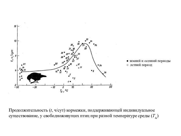 Продолжительность (t, ч/сут) кормежки, поддерживающей индивидуальное существование, у свободноживущих птиц при