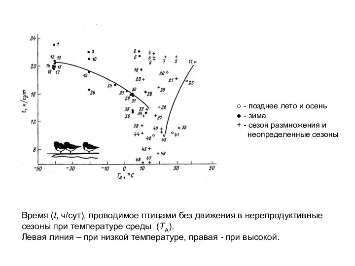 Время (t, ч/сут), проводимое птицами без движения в нерепродуктивные сезоны при