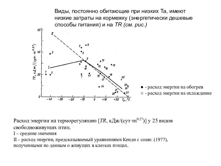 Расход энергии на терморегуляцию [TR, кДж/(сут·m0.27)] у 25 видов свободноживущих птиц.