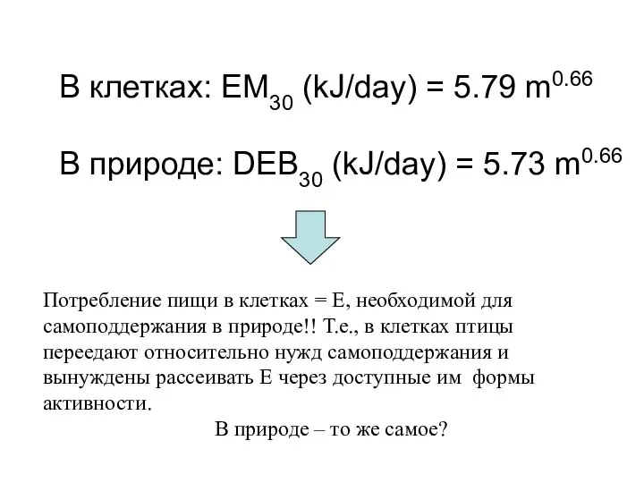 В клетках: EM30 (kJ/day) = 5.79 m0.66 В природе: DEB30 (kJ/day)