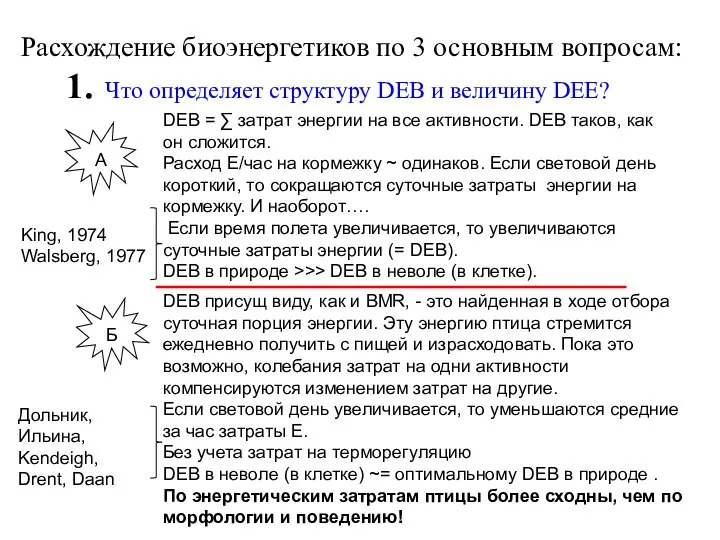 Расхождение биоэнергетиков по 3 основным вопросам: 1. Что определяет структуру DEB