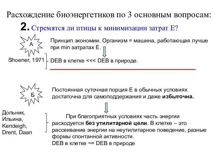 Расхождение биоэнергетиков по 3 основным вопросам: 2. Стремятся ли птицы к