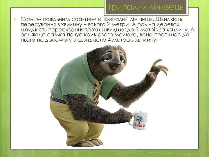Трипалий лінивець Самим повільним ссавцем є трипалий лінивець. Швидкість пересування в
