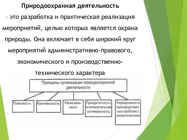 Природоохранная деятельность – это разработка и практическая реализация мероприятий, целью которых