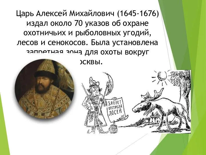 Царь Алексей Михайлович (1645-1676) издал около 70 указов об охране охотничьих