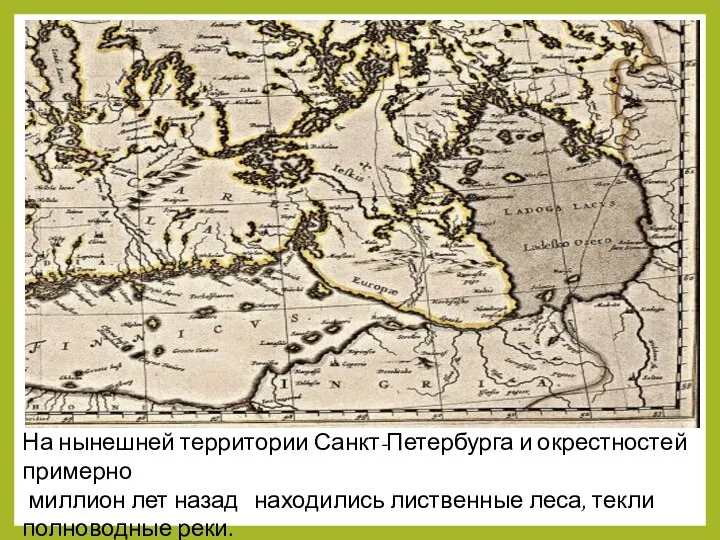 На нынешней территории Санкт-Петербурга и окрестностей примерно миллион лет назад находились лиственные леса, текли полноводные реки.